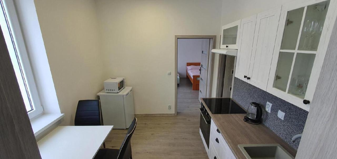 Apartment 35M2 Karlovy Vary Exteriér fotografie